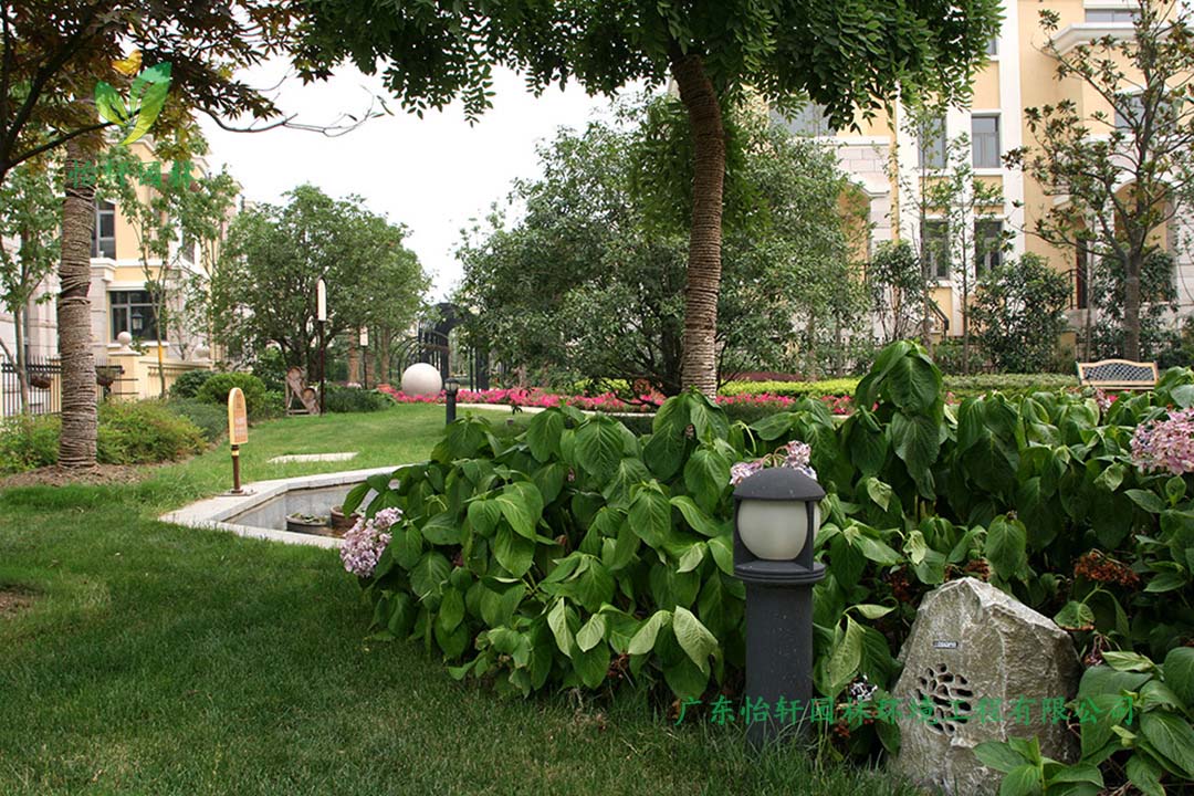 碧桂園華府別墅綠化景觀設計實景圖