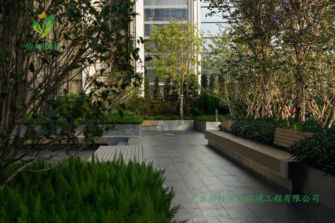 深圳萬象天地商業街花園綠化工程實景圖