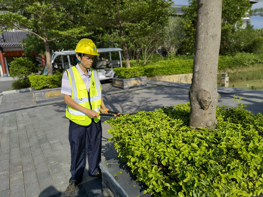 綠色動力廠區(qū)初夏綠化養(yǎng)護