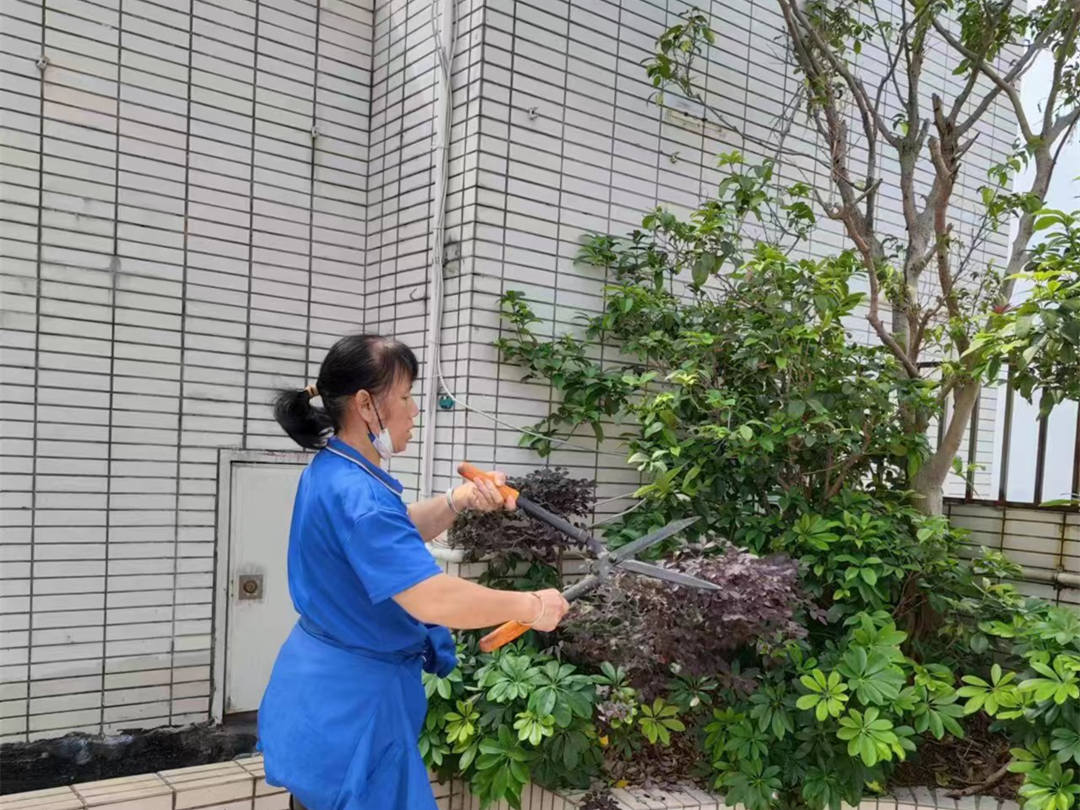 園林綠化養護修剪