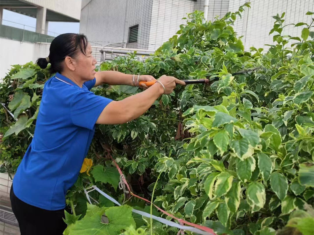 綠化養護修剪